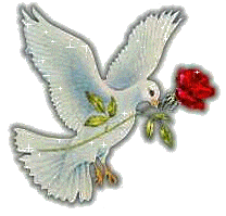 Colombe